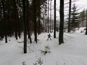 A forest descent is also possible