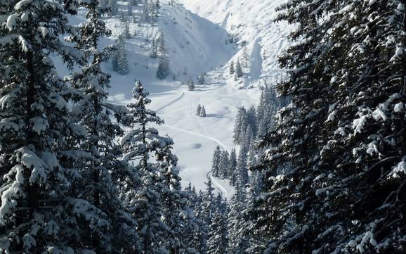 Cross-country skiing Walgau – Cross-country skiing Brandnertal – Brand/Bürserberg