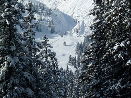 Cross-country skiing Alpenregion Bludenz – Cross-country skiing Brandnertal – Brand/Bürserberg