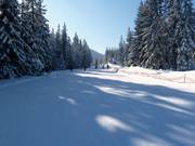 Easy family run at the Sonnenhang chairlift