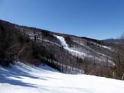 View of the slopes at Aurora Peak