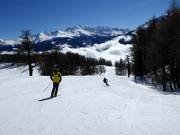 Sporty descent to Törbel