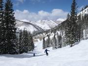 Slope in Honeycomb Canyon