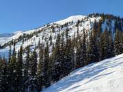 View of the Eagle East area with challenging Double Diamond runs