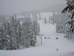 Ski resort Mt. Hood Meadows