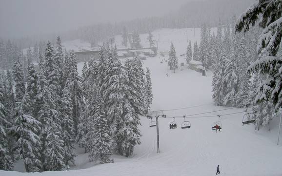Biggest ski resort on Mount Hood  – ski resort Mt. Hood Meadows