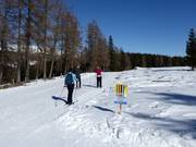 Cross-country trail on the Hochrindl