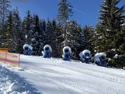 The snow cannons are waiting for their next use