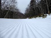 Perfectly groomed slope in the Sahoro ski area