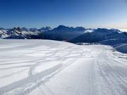Perfect slope grooming in the San Pellegrino ski area