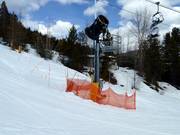 Snow cannon in the Kimberley ski area