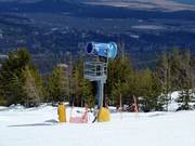 Snow cannon in the Kimberley ski area
