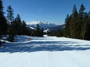 Middle section of valley run no. 4