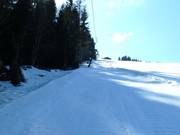 Schlepplift Lackner - T-bar