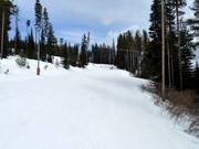 Easy slope Woodcutter at Plaza Chair