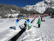 Magic Carpet Kaliland