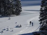 Classic style cross-country skiing is more prevalent