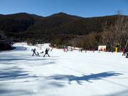 Tip for children  - Friday Flat