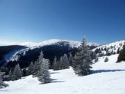 View towards Pančićev vrh