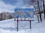 Piste map in the ski resort of Rusutsu