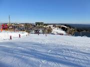 Practice slope in Zieleniec