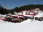 Mountain hut tip Restaurant Enjoy