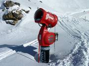 Snow cannon on standby