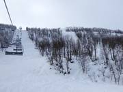View of the difficult slopes from the Osthangsbanan