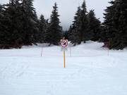 Forests must not be entered or skied through.