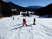 Children's ski lesson at the Lyralift