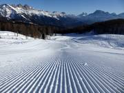 Perfectly groomed slopes in the San Pellegrino ski area
