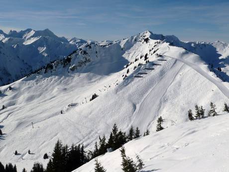 Oberstdorf/Kleinwalsertal: size of the ski resorts – Size Walmendingerhorn/Heuberg – Mittelberg/Hirschegg