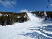 World Cup slope and Levi 2000 gondola lift