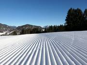 Very well-groomed slopes at Söllereck