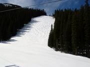 Typical mogul runs in Vail