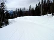 Easy slope The Last Spike