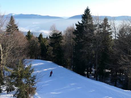 Upper Palatinate (Oberpfalz): size of the ski resorts – Size Hohenbogen – Neukirchen bei Hl. Blut