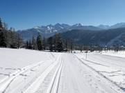 Cross-country trails in Ramsau am Dachstein