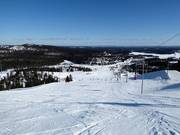 Vuosseli Express with panoramic views over northern Finland