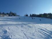 Ski slope at Mehliskopf