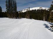 Easy slope Galloping Goose