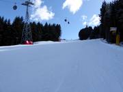 Excellent slope grooming