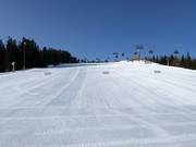 Lower section of the Nößlachjoch slope