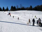 Hornbabylift - J-bar