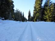 Trail in the Černá hora ski area