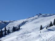 Wide summit descent at Schatzberg