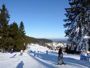 Slope No. 43 M3 Lewa