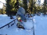 Tip for children  - Obstacle course Dinowald