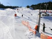 Kleiner Götschenlift - T-bar