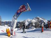 Tip for children  - The Snake